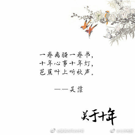 黄爪视频乱Xxxx