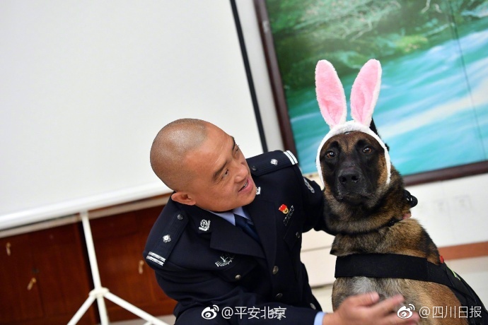 火影 18同人免费