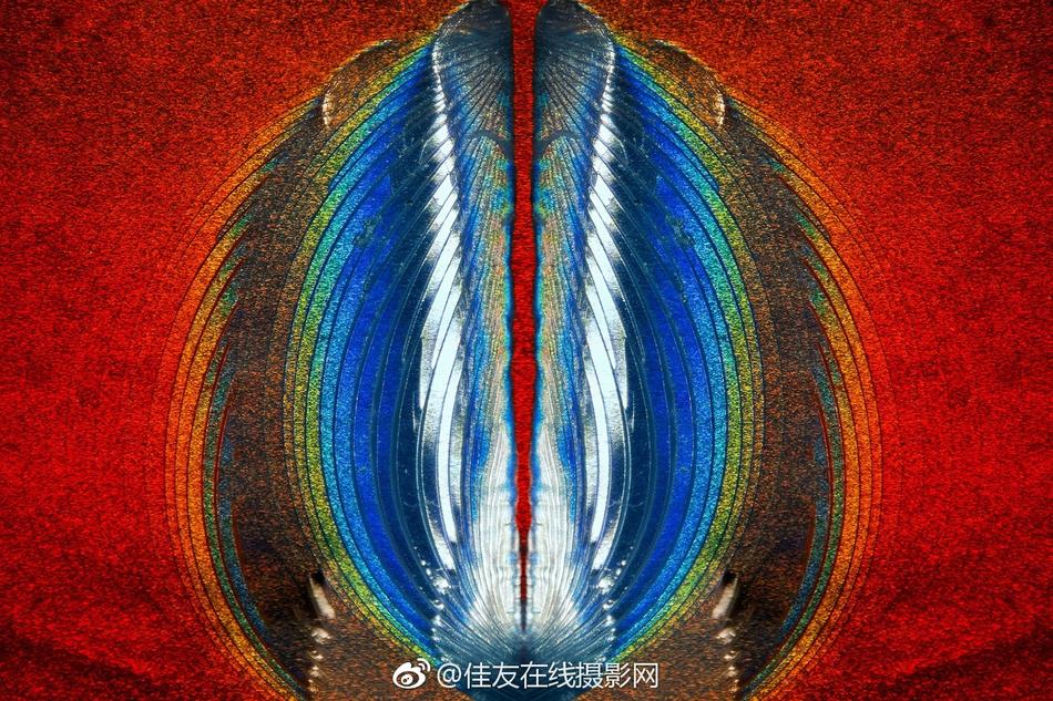 Pee大集旱厕WC偷拍