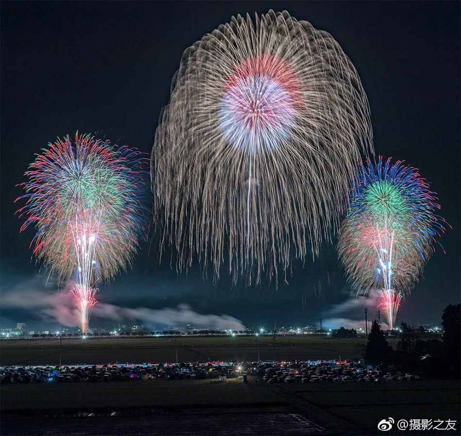 动画片黄色视频网站