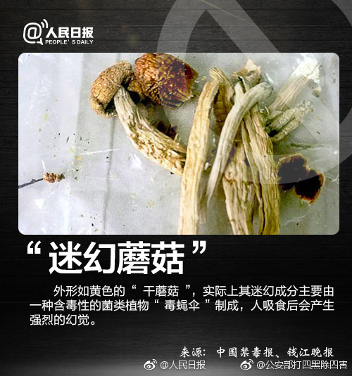 曰本女优与黑人的黄色视频