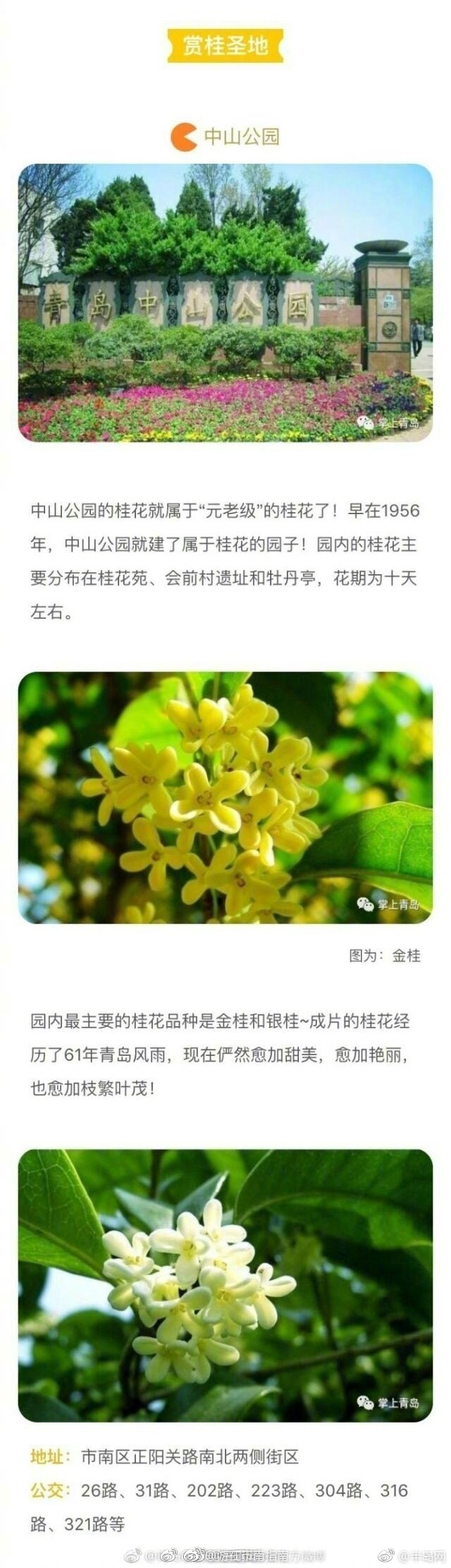 被20个男人灌了一夜精子