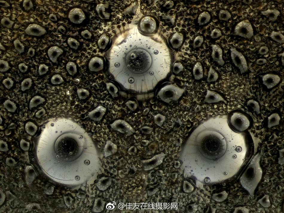 裸体美女动漫网站在线观看