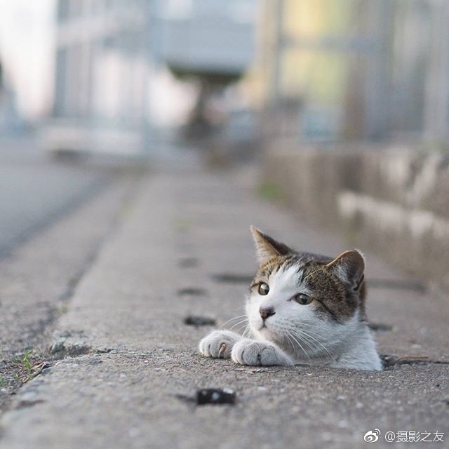 Hd性生活片
