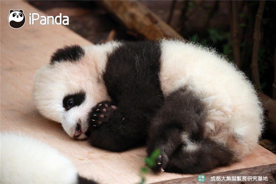Fieexx俄罗斯性片