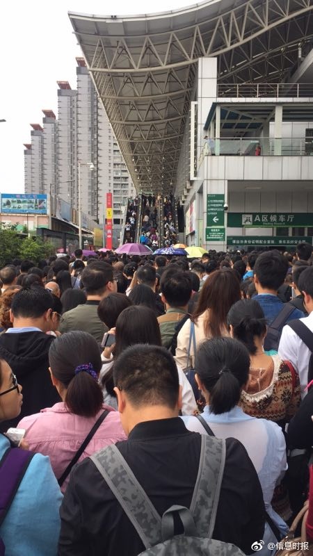 自己视频黄色网站视频