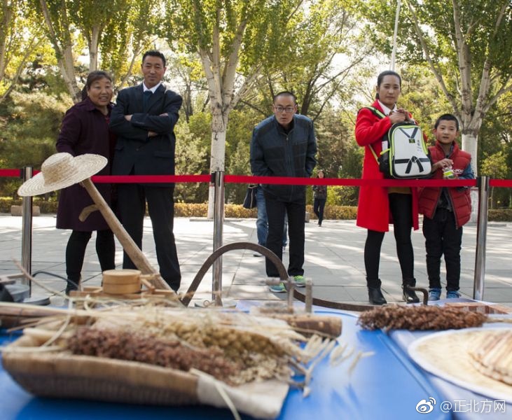 成人抖抈APP下载