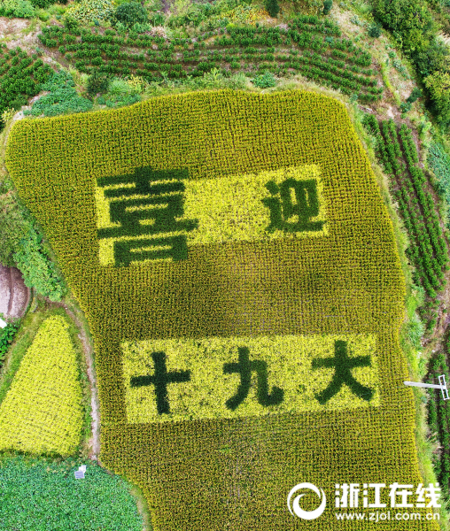 重 口 色情 网站