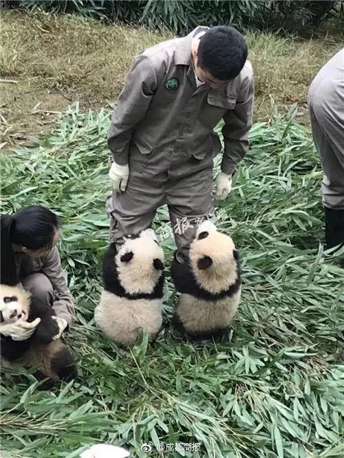 免费的黄色片
