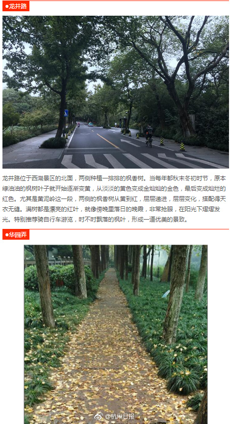 中国农村老熟女山林Bbhd