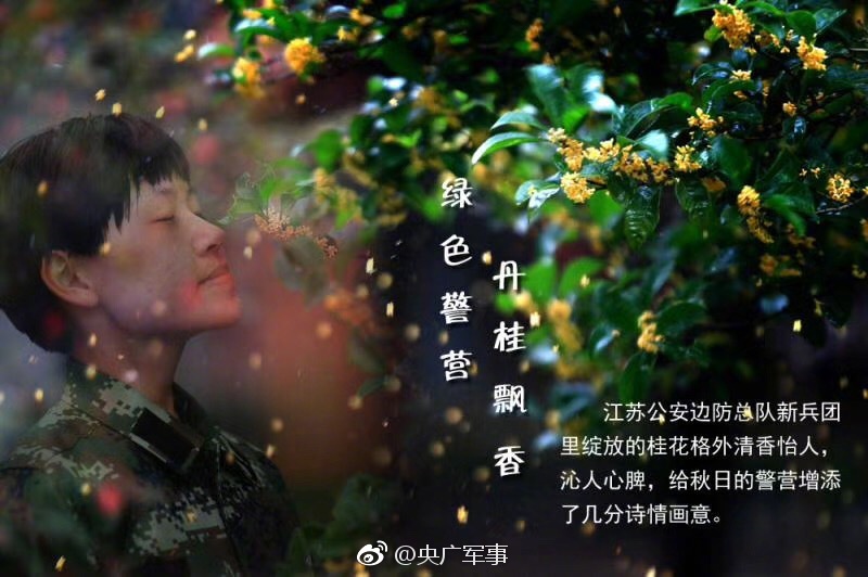 波多野结衣Av在线