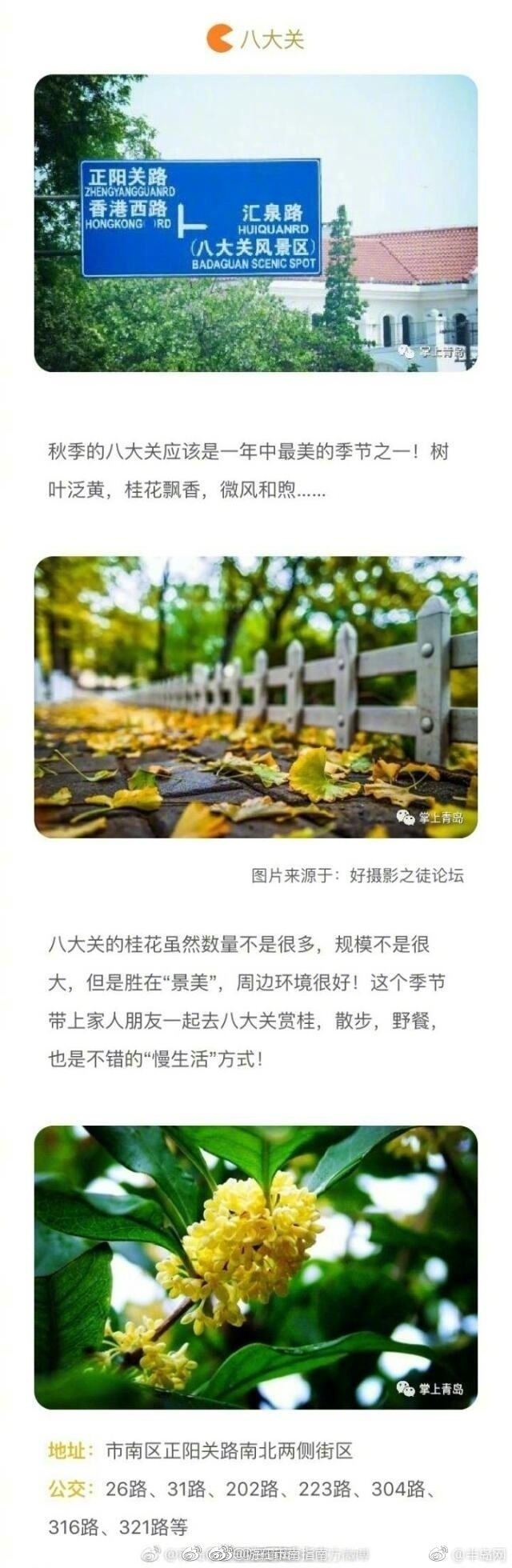 哥布林洞窟动漫双男主动画片