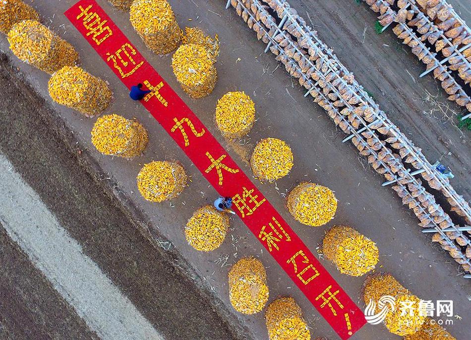 荷兰妓女自慰无
