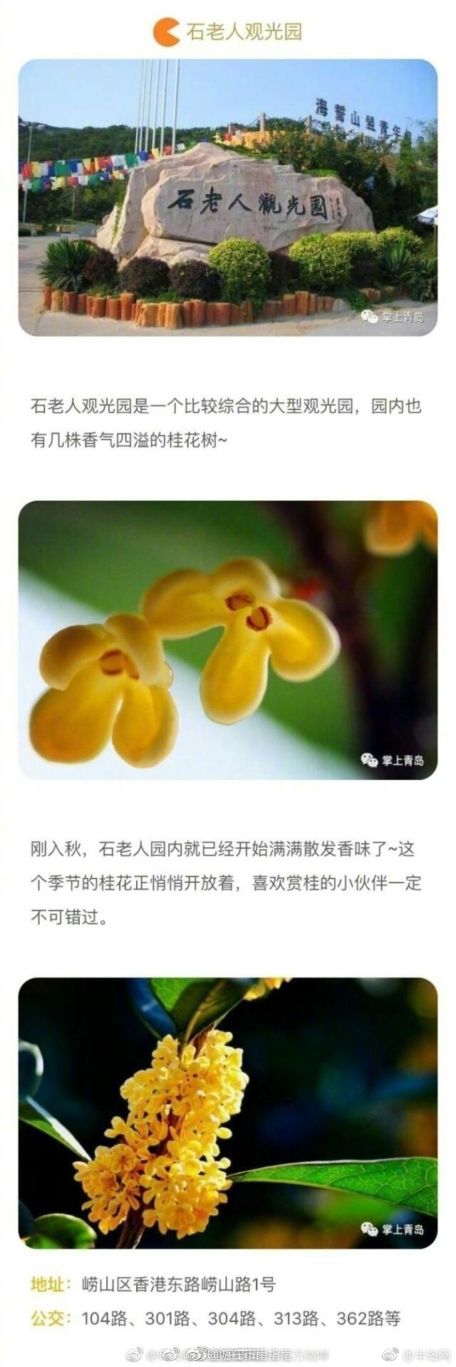 黄色网站的下载