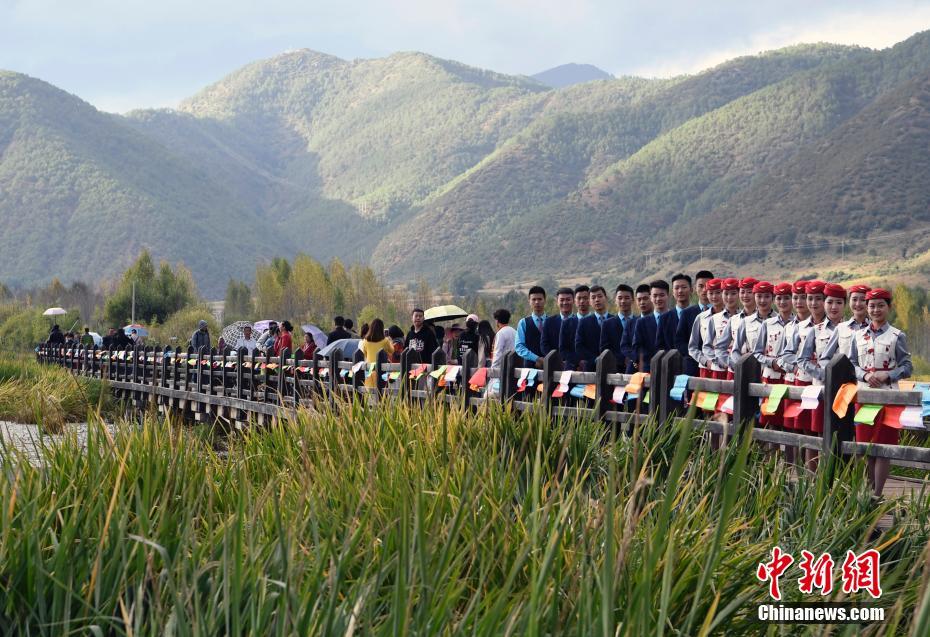 顶级国模李丽莎无码视频