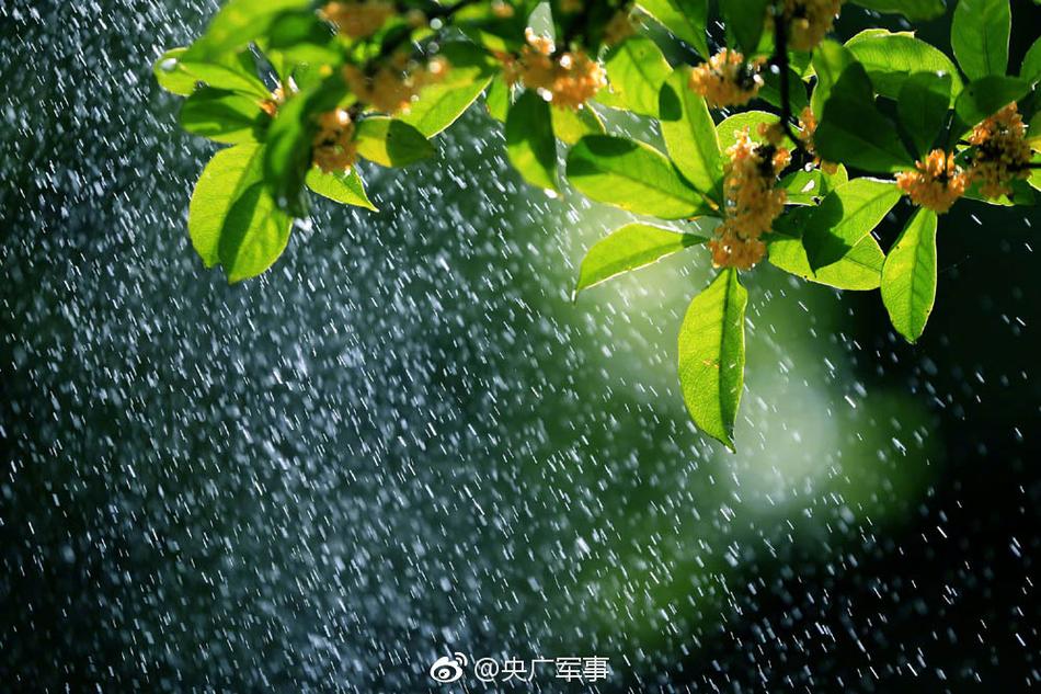 免费 色情 电影