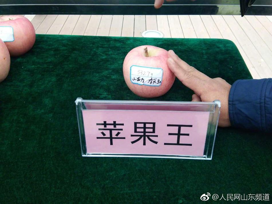 免费 Vr 成人