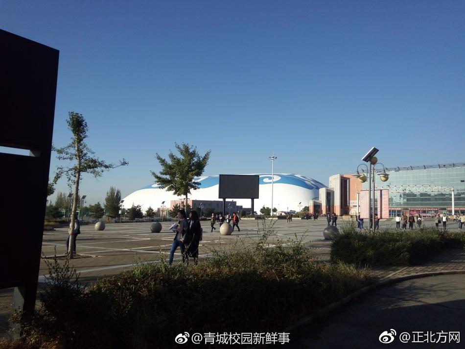 三级人妻黄色电影
