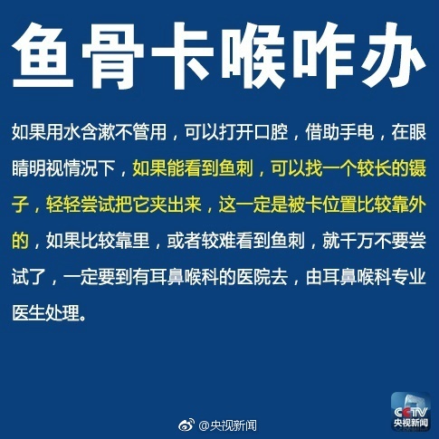 狂野少女高清免费观看第14集