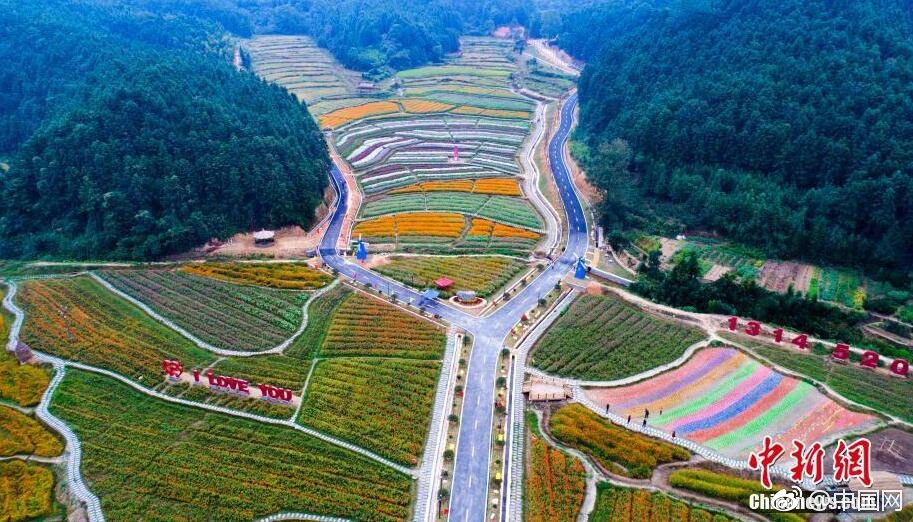 三级片黄片黄片黄片黄片黄片黄片黄片黄片黄片黄片黄片黄黄色