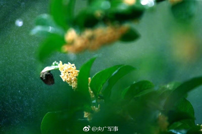 国外 最大 黄色 网站