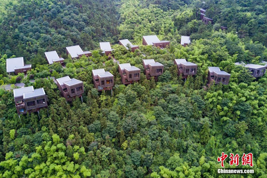 专利搞孕妇一级片