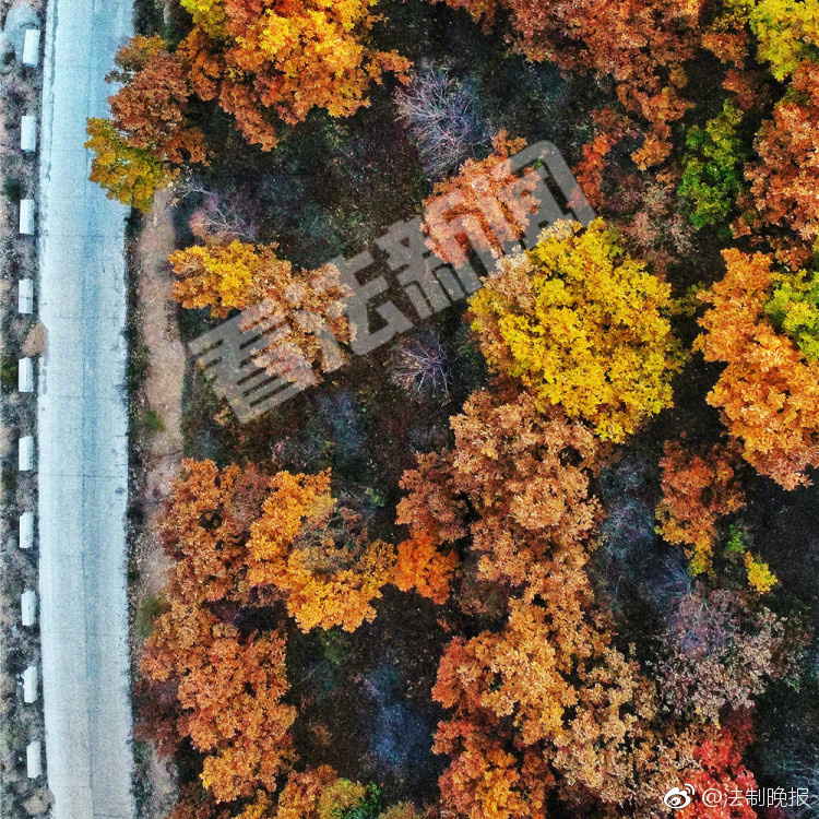 亚洲天堂无码