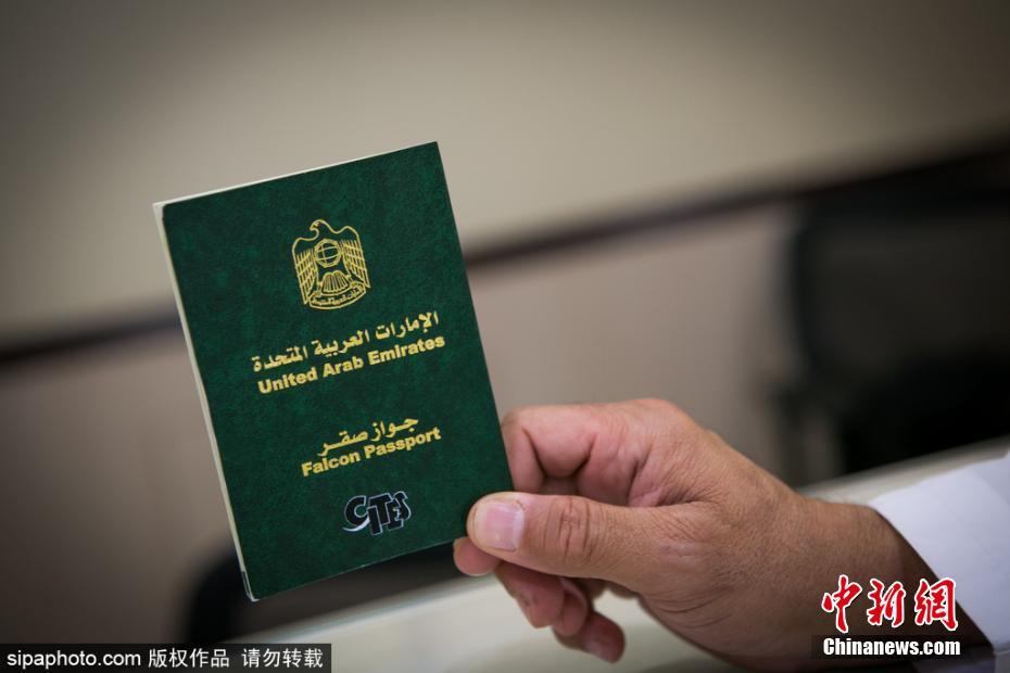 靠逼视频下载
