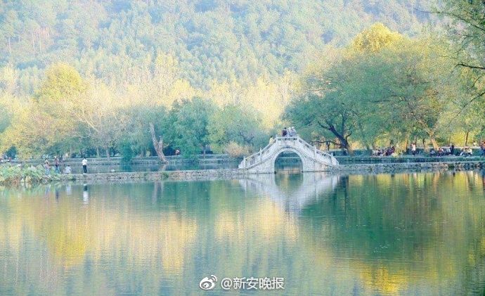 四虎成人www成人影视网址
