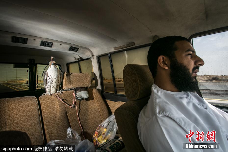 黄片夫妻俩