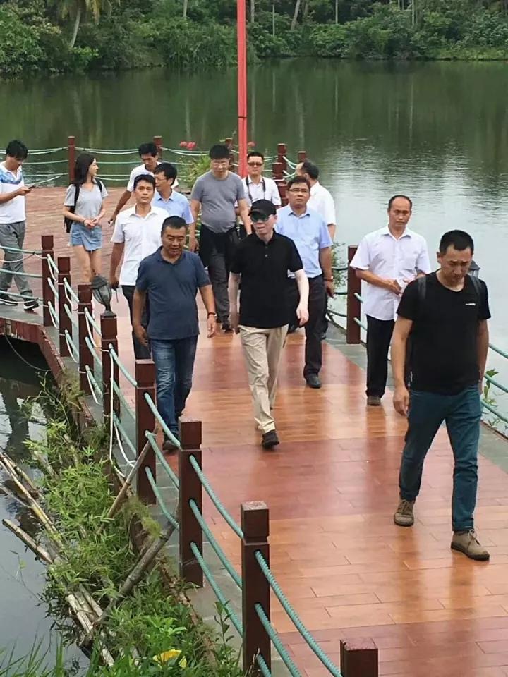 黄色网战免费能看的