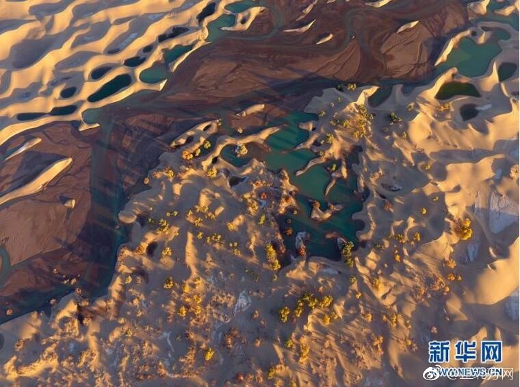 泰国黄色电影带视频的