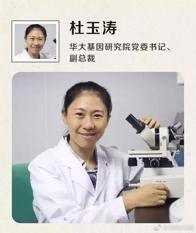 中国成熟夫妻生活黄片