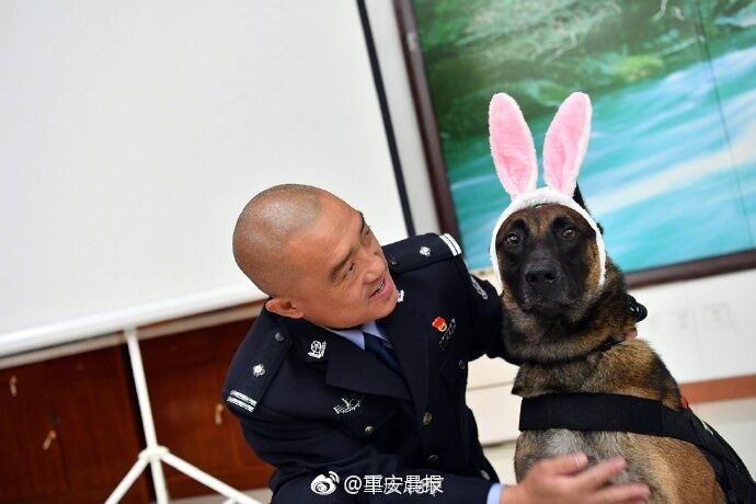C逼软件