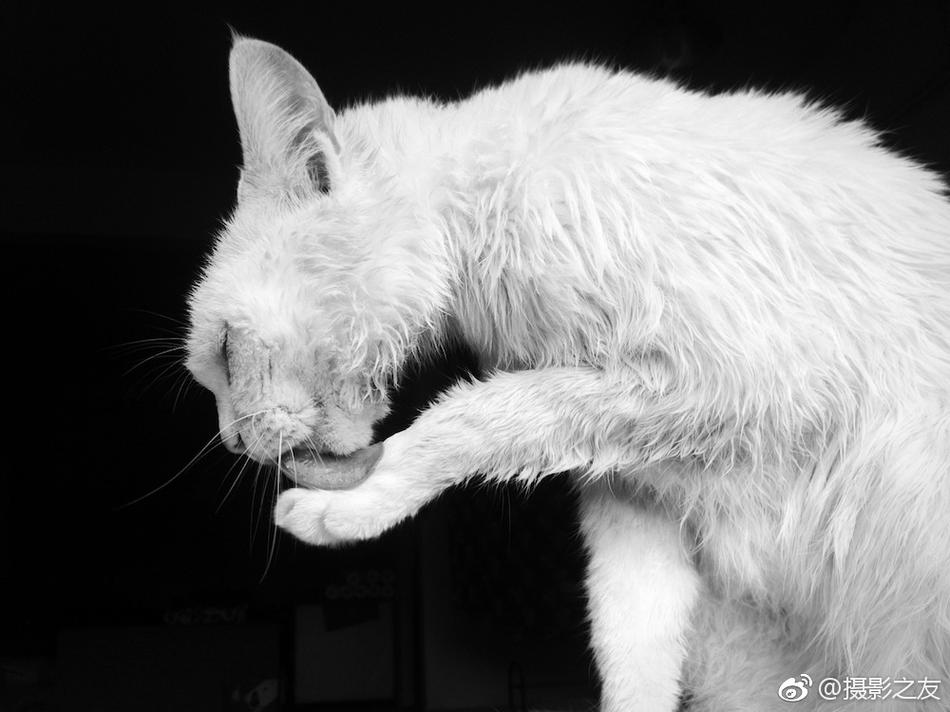 韩国 成人 电影 在线 观看