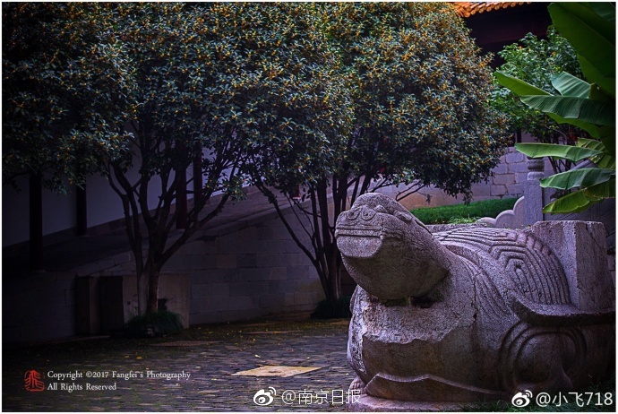 久久亚洲精华国产精华精华液