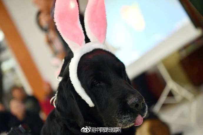 無碼肌肉男快
