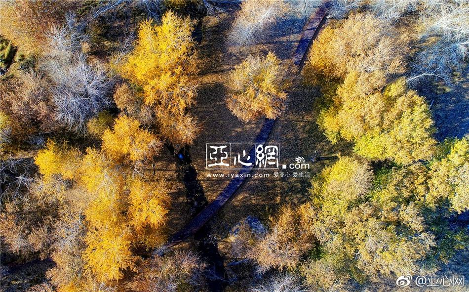 自拍 性爱 短 片