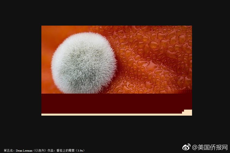 超清欧美黄色网站