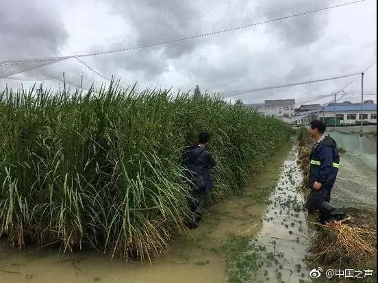 苍井空在厨房被吸奶头电影