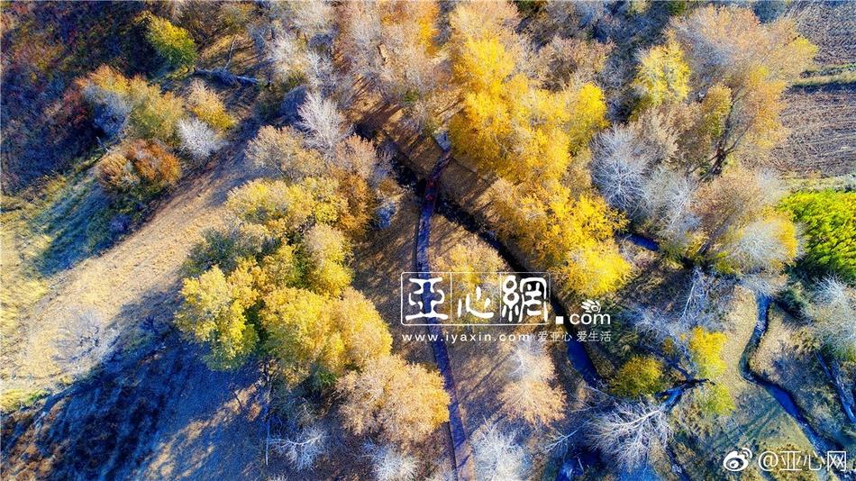 中国无套毛片学生妺女