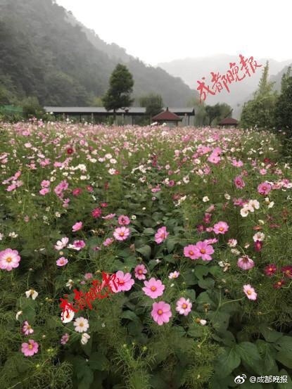 91  丨PORNY丨成人
