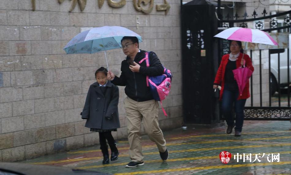 色黄网站免费下载