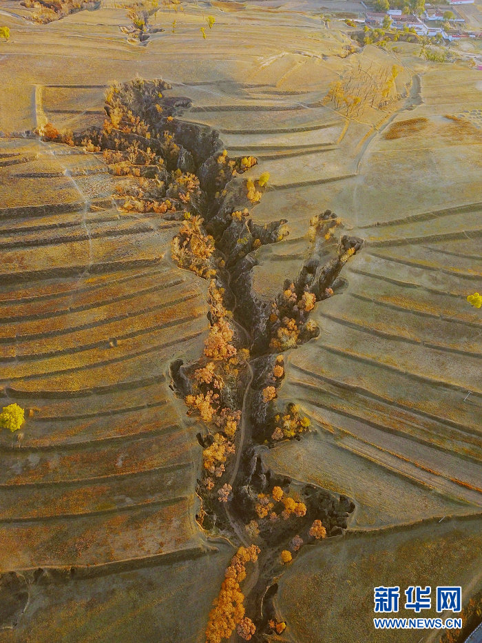 久久99亚洲精品久久99果冻