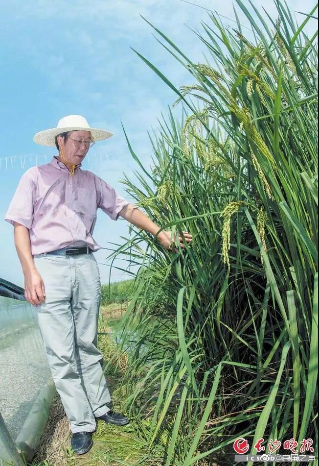 辣文小说网