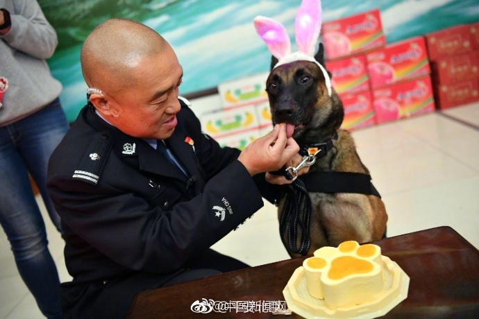 公交车后排被c爽了