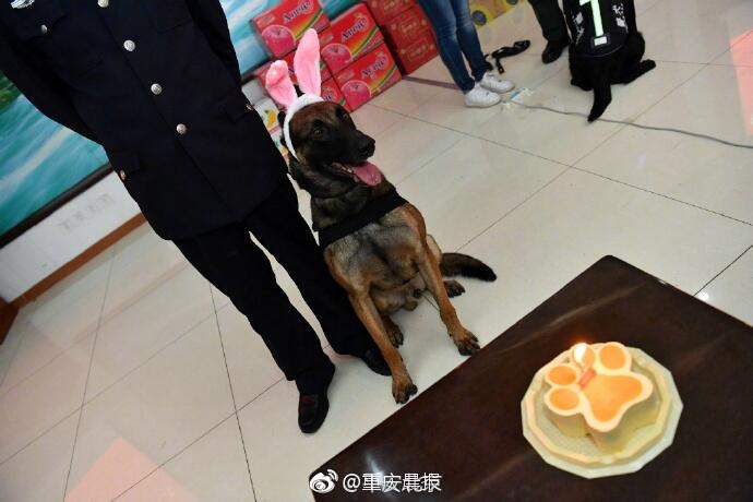 韓國色情主播