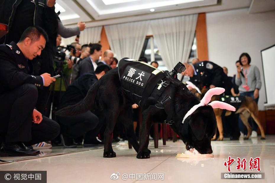 黄色网站免费看。