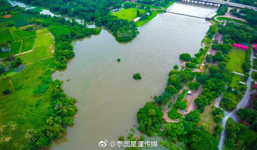 大胆欧州三级片