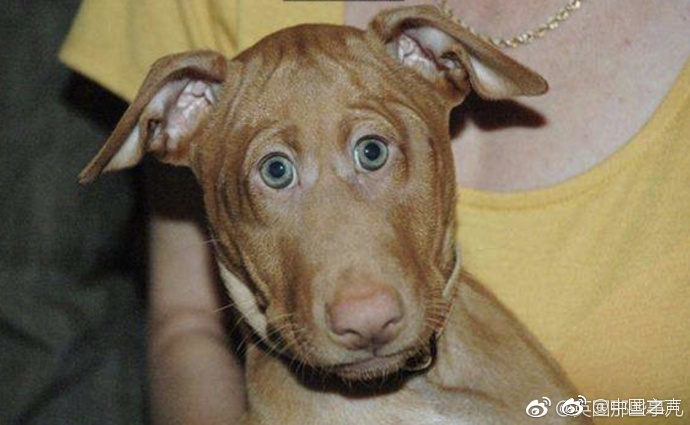 偷拍 走光 熟女